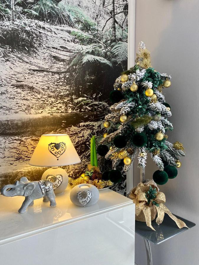 Apartament Dzika Paproc Szczawnica Kültér fotó