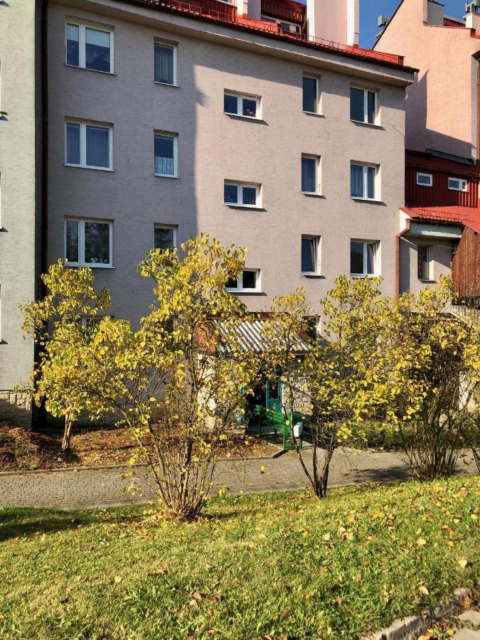 Apartament Dzika Paproc Szczawnica Kültér fotó