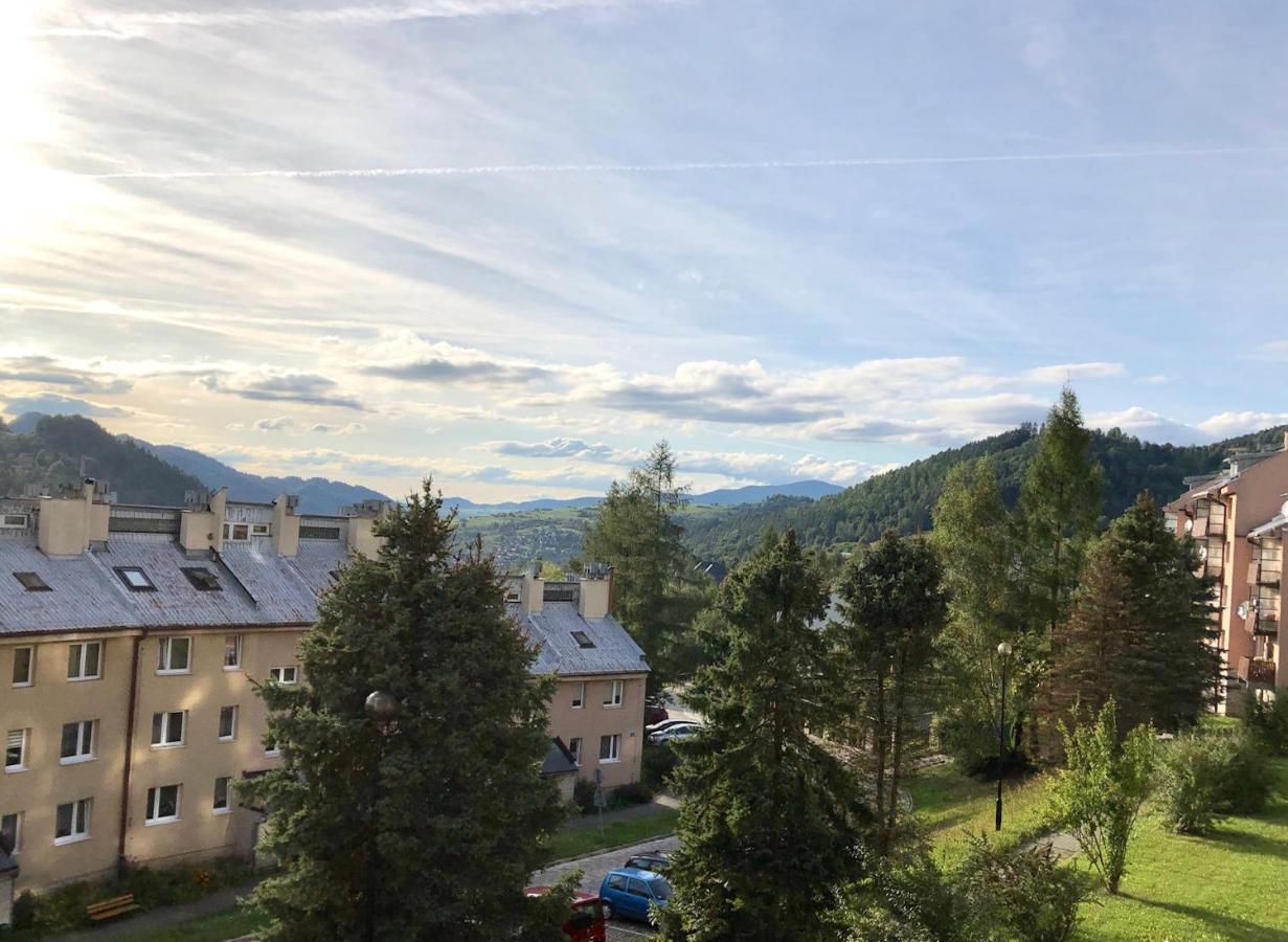 Apartament Dzika Paproc Szczawnica Kültér fotó